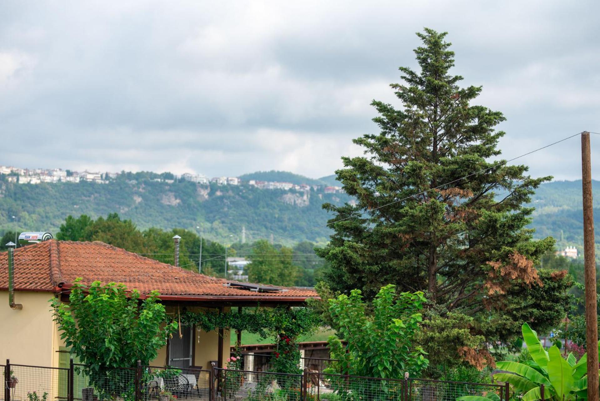 Cottage Lina Édesza Kültér fotó